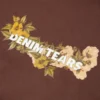 Cotton Floral Logo Tee Brown